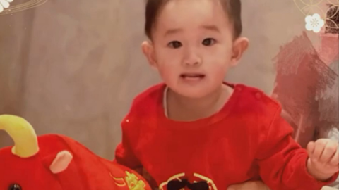 陈小春儿子撞脸外婆！隔代遗传的命理玄机，八字印星竟藏着这个秘密