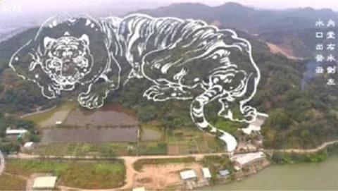 老人们总说“坟地要选风水宝”，背后藏着哪些老祖宗的生存智慧？