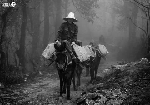 马帮头骡脖子上的“驮财铃”,藏着多少老辈人的生存智慧?