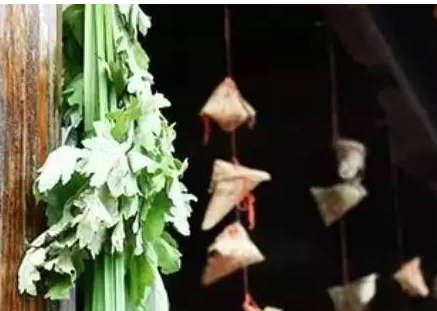 端午挂菖蒲:一把“蒲剑”里藏着古人的驱邪智慧
