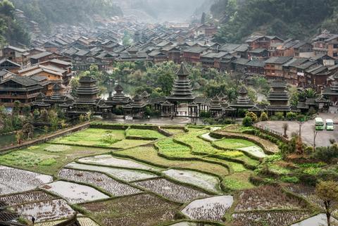 侗寨”月也”里的土地密码：一场延续千年的耕作默契