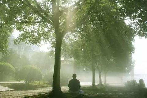 道士们每天盘坐的秘密:道教打坐修炼背后的文化密码