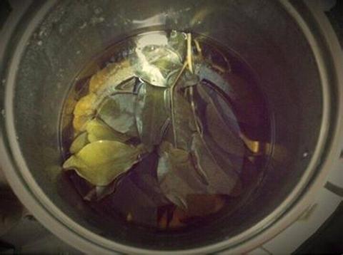 洗个”柚子叶招财浴”就能发财?老祖宗的植物玄学里藏着这些讲究