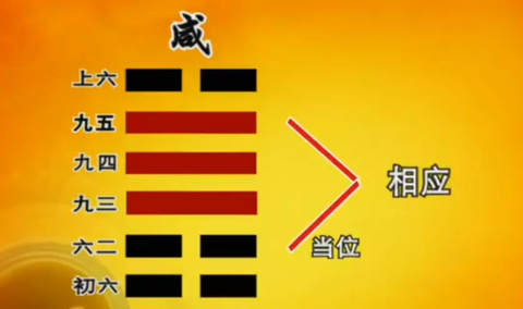咸卦智慧：高净值夫妻的婚家财富传承密码