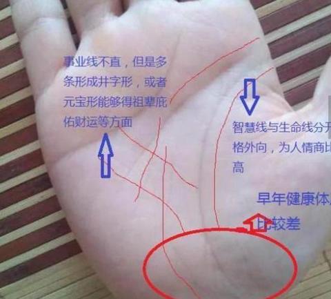 土厚木折，你的职业生涯是否正被无形的五行之力拖累？
