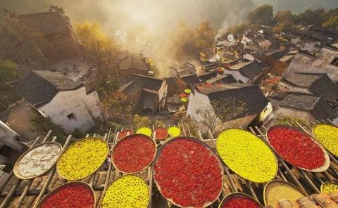 徽州古村立秋晒谱：一本家谱里藏着的气候密码与宗族心事