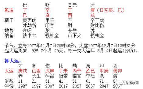 金多水浊：你的财富为何总是如过山车般起伏不定？