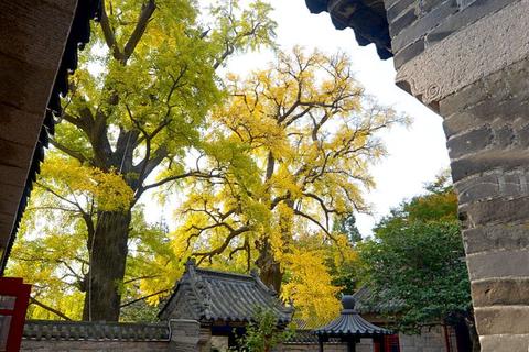 崂山问道云游记