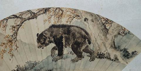 风水画中的“熊”：隐藏的王者之气与靠山格局的绝配