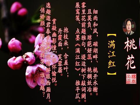 咸池桃花与正缘桃花，你真的分得清吗？