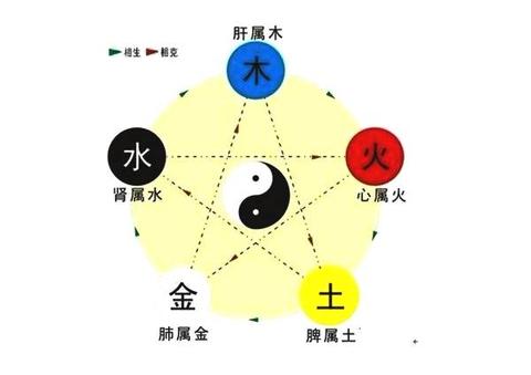 金旺木衰时为何肝病高发？揭秘八字命理中的五行生克玄机