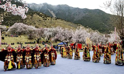 林芝修道云游记