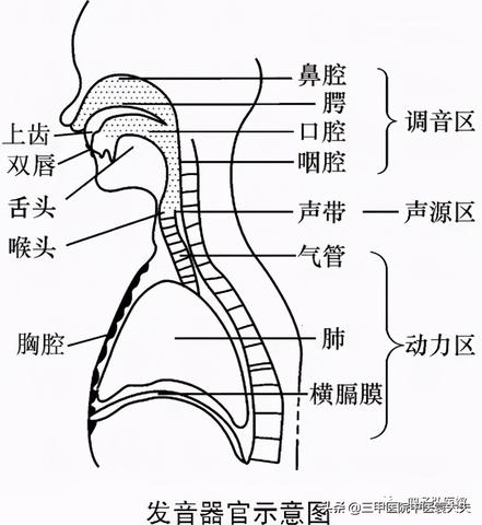 八字里的